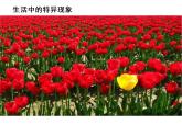 湘美版四年級(jí)美術(shù)上冊(cè)課件 第12課 一模不一樣