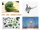 湘美版四年級(jí)美術(shù)上冊(cè)課件 第15課 這個(gè)地方有點(diǎn)怪