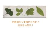 湘美版四年級(jí)美術(shù)上冊(cè)課件 第15課 這個(gè)地方有點(diǎn)怪