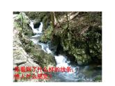 人美版小學(xué)三年級(jí)下冊(cè)美術(shù)2畫中的線條課件