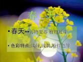 人美版小学四年级上册美术1四季的色彩课件（20张）