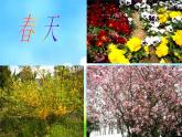 人美版小學(xué)四年級上冊美術(shù)1四季的色彩課件（21張）
