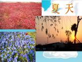 人美版小學(xué)四年級上冊美術(shù)1四季的色彩課件（21張）