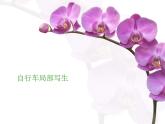 人美版小学四年级上册美术第10课　自行车局部写生 课件 (5)