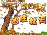 湘美版三年级美术上册课件 第11课 留住秋天