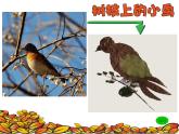 湘美版三年级美术上册课件 第11课 留住秋天