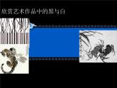 冀美版六年級美術(shù)上冊5.黑與白的表現(xiàn)力    課件
