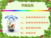 冀美版六年级美术上册9.学画金鱼   课件