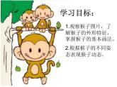 顽皮的猴子PPT课件免费下载