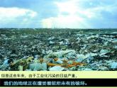 绿色的呼唤PPT课件免费下载