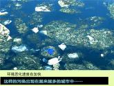 绿色的呼唤PPT课件免费下载