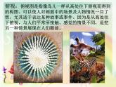 冀美版五年級美術上冊14.不同的視覺表現(xiàn)   課件