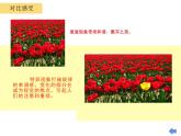 一模不一樣PPT課件免費(fèi)下載