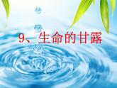 第9課 生命的甘露（14）（課件）美術(shù)六年級(jí)上冊(cè)-湘美版