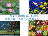 第9課 生命的甘露（14）（課件）美術(shù)六年級(jí)上冊(cè)-湘美版