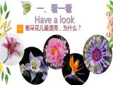 湘美版一年級美術(shù)上冊 21.鳥語花香課件PPT