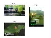 湘美版一年級(jí)美術(shù)上冊(cè) 1.大家一起畫課件PPT