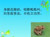 我和动物交朋友PPT课件免费下载