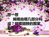 湘美版四年級(jí)美術(shù)上冊(cè)課件 第14課 蝴蝶落我家