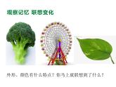 這個(gè)地方有點(diǎn)怪PPT課件免費(fèi)下載