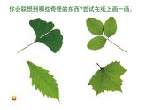 這個(gè)地方有點(diǎn)怪PPT課件免費(fèi)下載