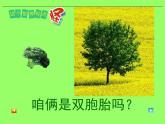 這個(gè)地方有點(diǎn)怪PPT課件免費(fèi)下載