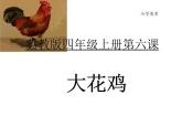冀美版四年级美术上册6.大花鸡   课件