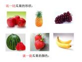 冀美版二年級美術上冊4.瓜果飄香   課件