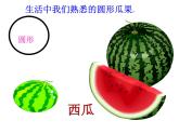 冀美版二年級美術上冊4.瓜果飄香   課件
