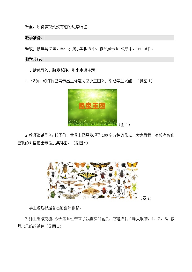 冀美版二年级美术上册11.昆虫王国  教案02