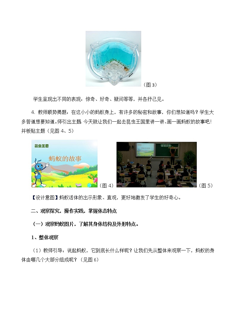 冀美版二年级美术上册11.昆虫王国  教案03