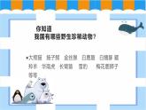 人教版美術(shù)三年級(jí)下冊(cè)  保護(hù)珍稀野生動(dòng)物 課件PPT+教案