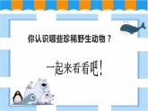 人教版美術(shù)三年級(jí)下冊(cè)  保護(hù)珍稀野生動(dòng)物 課件PPT+教案
