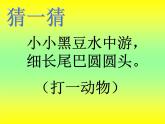 湘美版二年級(jí)美術(shù)上冊(cè)課件 10.小蝌蚪