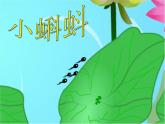 湘美版二年級(jí)美術(shù)上冊(cè)課件 10.小蝌蚪