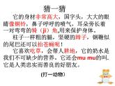 湘美版二年級(jí)美術(shù)上冊(cè)課件 8.猜猜我是誰(shuí)