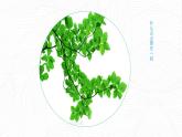湘美版二年級美術(shù)上冊課件 11.點點聚會