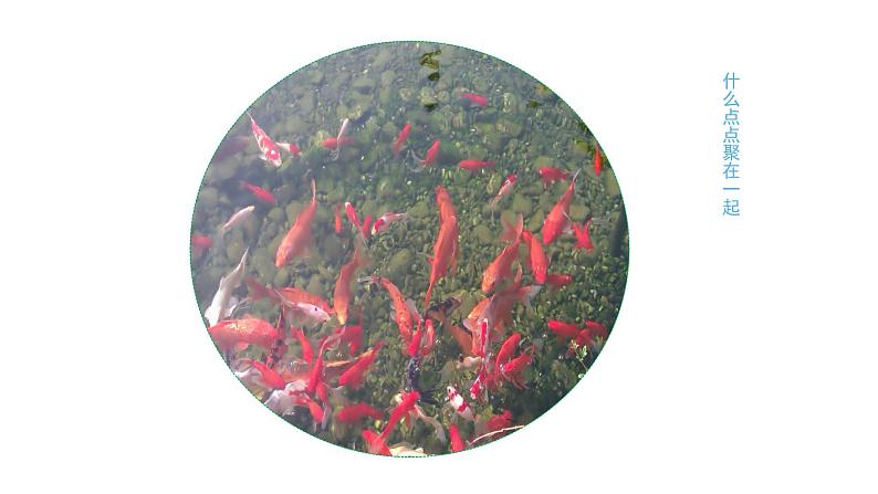 湘美版二年级美术上册课件 11.点点聚会第6页