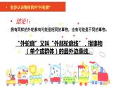 湘美版三年級(jí)美術(shù)上冊(cè)課件 第8課 線描外形