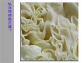 湘美版三年級美術(shù)上冊課件 第6課 新發(fā)現(xiàn)
