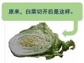 湘美版三年級美術(shù)上冊課件 第6課 新發(fā)現(xiàn)