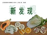 湘美版三年級美術(shù)上冊課件 第6課 新發(fā)現(xiàn)