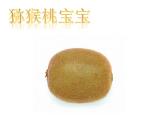 湘美版三年級美術(shù)上冊課件 第6課 新發(fā)現(xiàn)