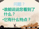 湘美版三年級美術(shù)上冊課件 第7課 有趣的圖形