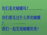 第20課  美麗的植物和動物（課件） 美術(shù)一年級上冊-人教版