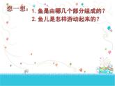 第8课　鱼儿游游（课件） 美术一年级上册-人教版