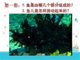 第8课　鱼儿游游（课件） 美术一年级上册-人教版