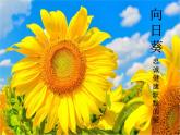 第11課　花兒寄深情(3)（課件） 美術一年級上冊-人教版