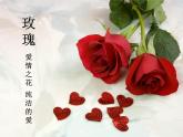 第11課　花兒寄深情(3)（課件） 美術一年級上冊-人教版