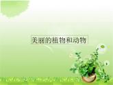 第20課　美麗的植物和動物_（課件） 美術(shù)一年級上冊-人教版